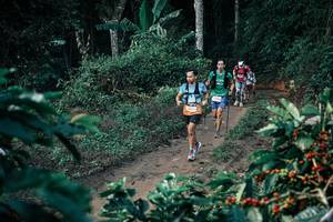 BIB: 
                            <button type="button" onclick="openModal(25788783)" class="btn btn-primary btn-sm float-right btn-popup" data-toggle="modal" data-target=".modal-high-quality">
                        <i class="fas fa-shopping-cart"></i> Add to Cart
                    </button>
                                            <button type="button" onclick="isThisMe(25788783, true)" class="btn btn-success btn-sm float-right btn-popup btn-isme hidden" data-toggle="tooltip" data-placement="bottom" title="นี่คือรูปของคุณใช่ไหม คลิกที่นี่เพื่อเอาเข้าอัลบั้ม">
                        <i class="fas fa-plus"></i> Add to album
                    </button>
                    <button type="button" onclick="isThisMe(25788783, false)" class="btn btn-warning btn-sm float-right btn-popup btn-isnotme hidden">
                        <i class="fas fa-ban"></i> Remove from album
                    </button>